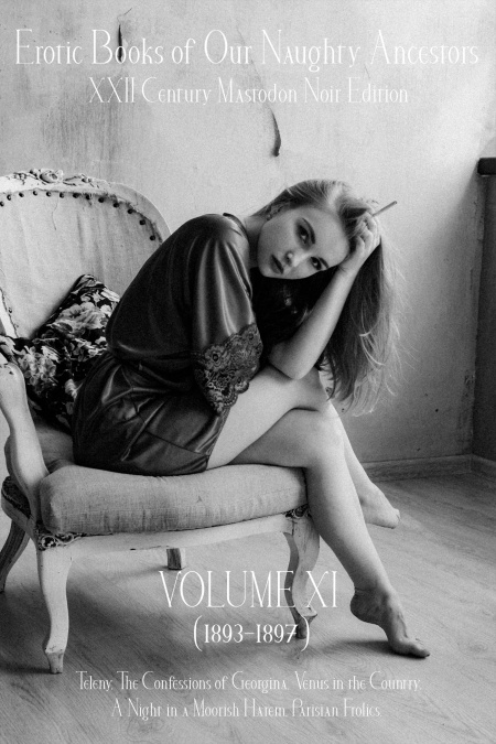 Erotic Books of Our Naughty Ancestors vol.11  - обложка