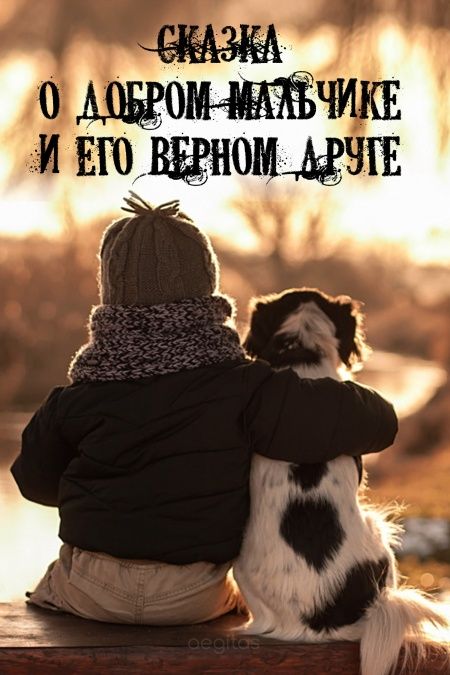 Сказка о добром мальчике и его верном друге  - обложка
