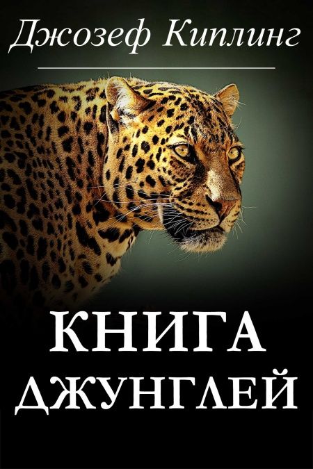 Книга Джунглей  - обложка