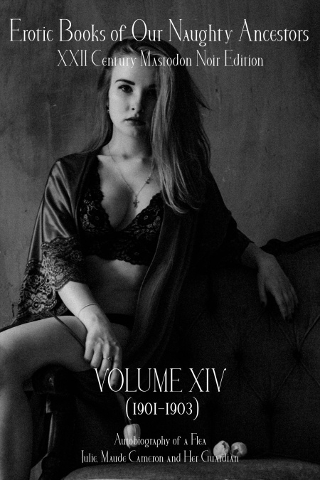 Erotic Books of Our Naughty Ancestors vol.14  - обложка