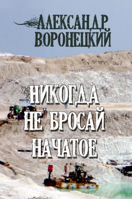 Никогда не бросай начатое  - обложка