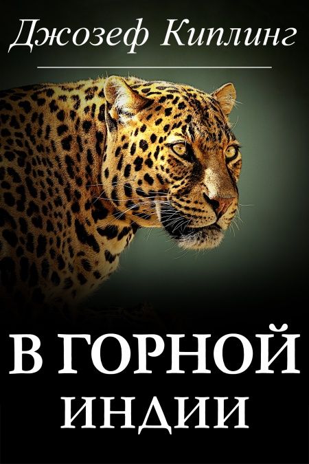 В горной Индии  - обложка