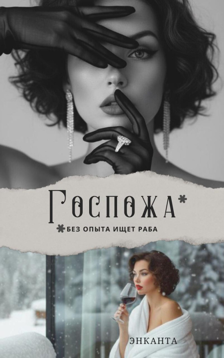 Госпожа без опыта ищет раба  - обложка