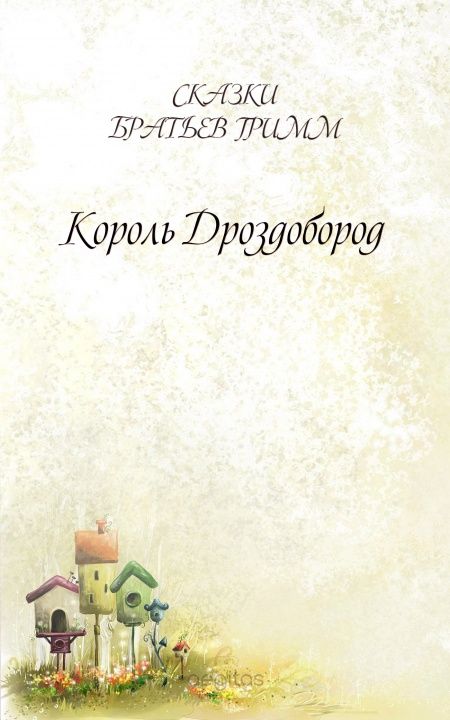 Король Дроздобород  - обложка