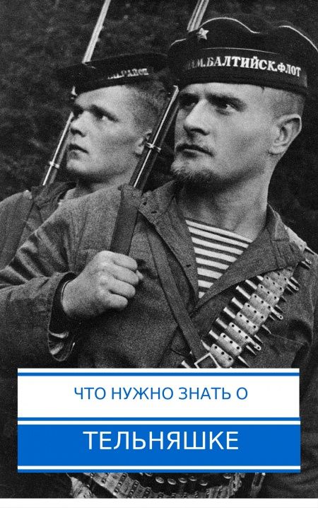Что нужно знать о тельняшке  - обложка
