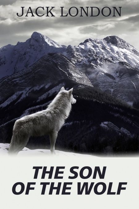 The Son of the Wolf  - обложка
