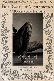 Erotic Books of Our Naughty Ancestors vol.6 - обложка