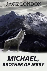 Michael, Brother of Jerry - обложка
