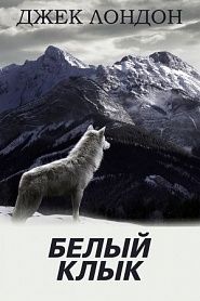 Белый Клык - обложка