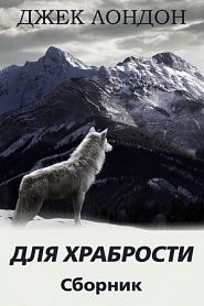 Для храбрости. Сборник рассказов - обложка