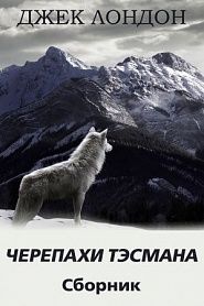 Черепахи Тэсмана. Сборник рассказов - обложка