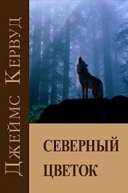 Северный цветок - обложка