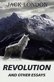Revolution and Other Essays - обложка