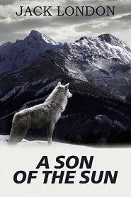 A Son Of The Sun - обложка