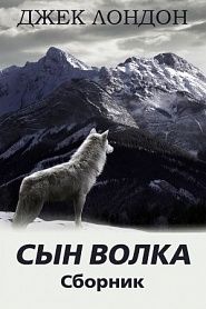 Сын Волка - обложка