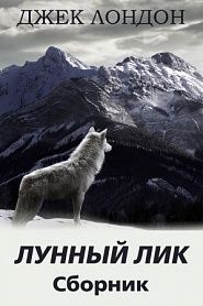 Лунный лик. Сборник рассказов - обложка