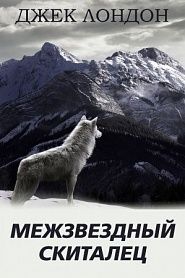 Межзвездный скиталец - обложка