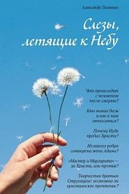 Слёзы, летящие к Небу: Во что и как верят христиане? - обложка