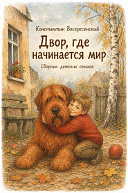 Двор, где начинается мир. Сборник детских стихов. - обложка